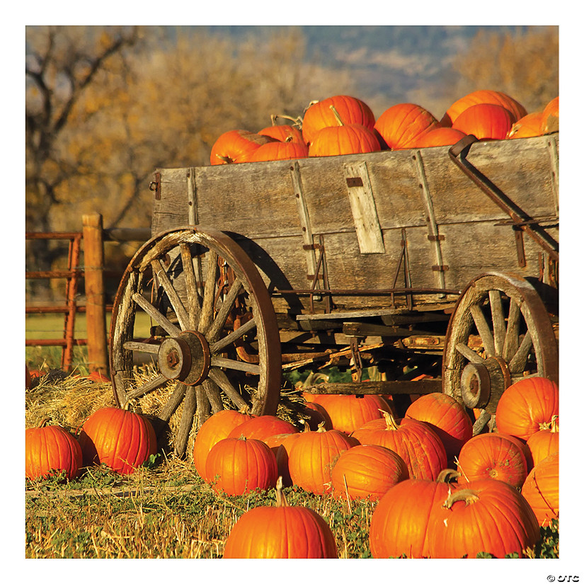 6 Ft. x 6 Ft. Fall Pumpkin Patch Design-a-Room Plastic Backdrop Image