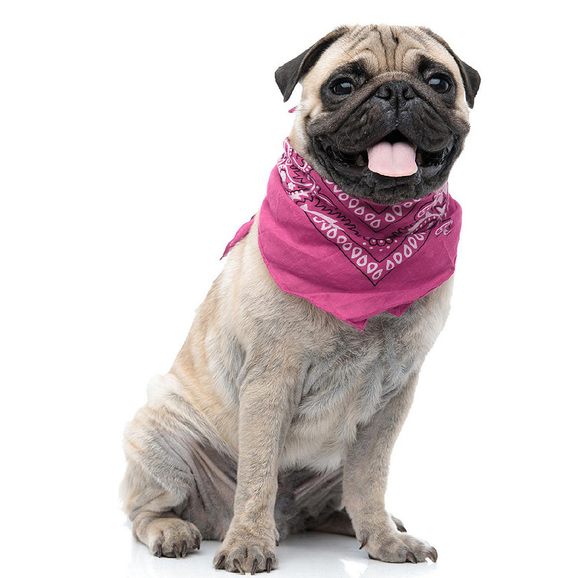 6 Paisley Polyester Dog & Cats Bandana Triangle Bibs  - Washable & One Size (Hot Pink) Image