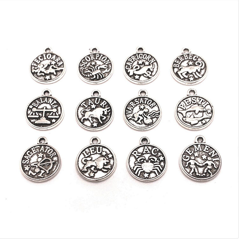60 Pcs Silver Zodiac Coin Charm Sets Image