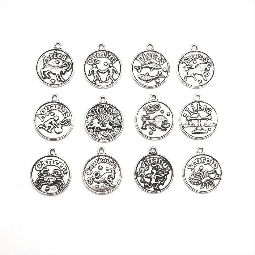 60 Pcs Silver Zodiac Coin Charm Set Image