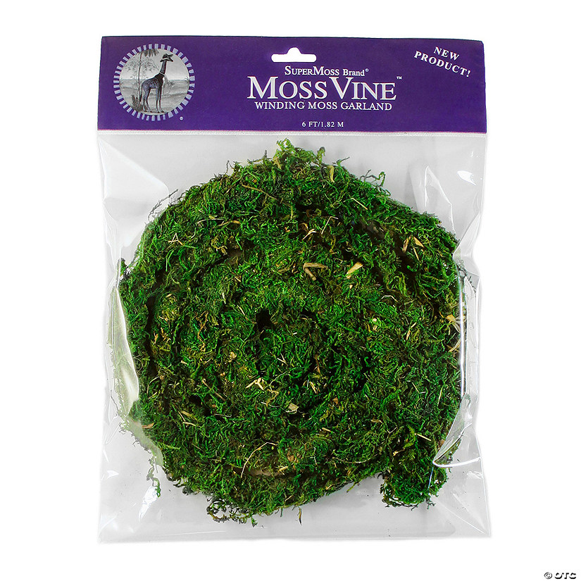 6ft. Decorative Moss Vine - 1 Pc. Image