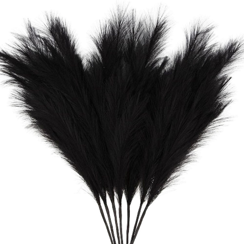 7-Pcs Black Pampas Grass Image