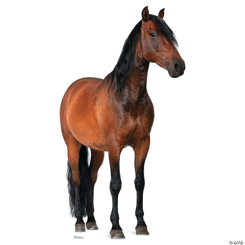 75" Horse Cardboard Cutout Stand-Up Image