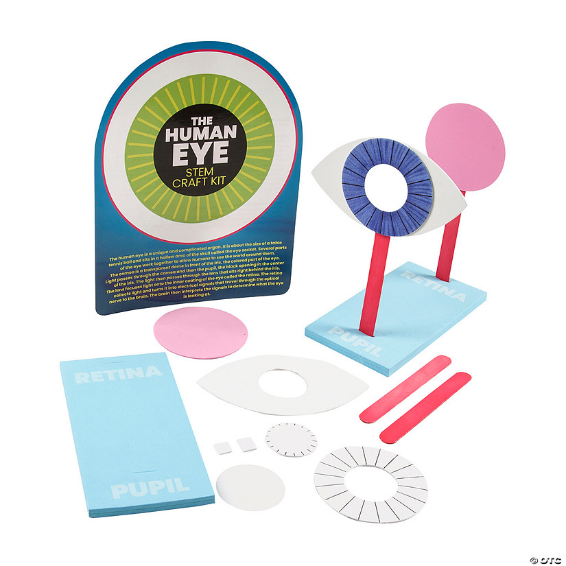 8" x 8 1/2" STEM Human Eye Activity Learning Challenge Craft Kit - Makes 12 Image