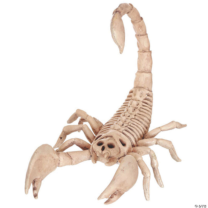 9" Scorpion Skeleton Halloween Decoration Image