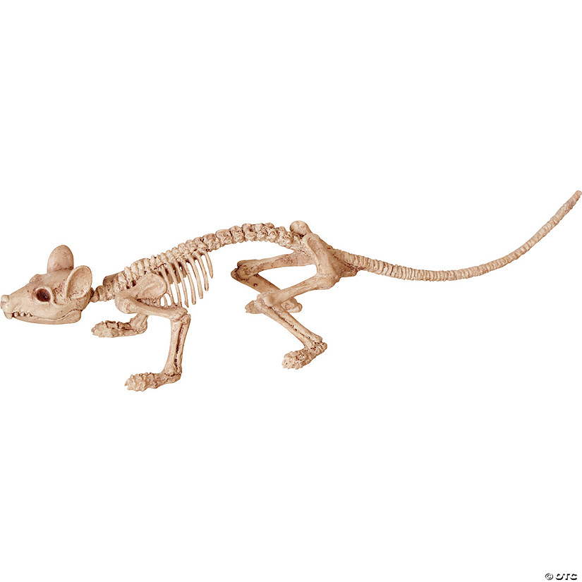 9" x 2" Mini Skeleton Rat Prop Image