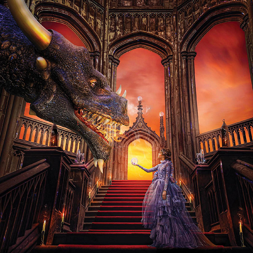 A Girl & Her Dragon Puzzle By Tara Lesher  500 Piece Jigsaw Puzzle Image