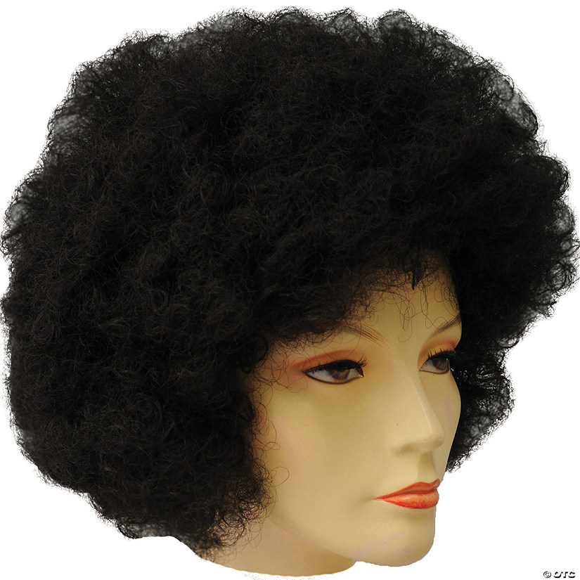 Adults Bargain Afro Wig Image
