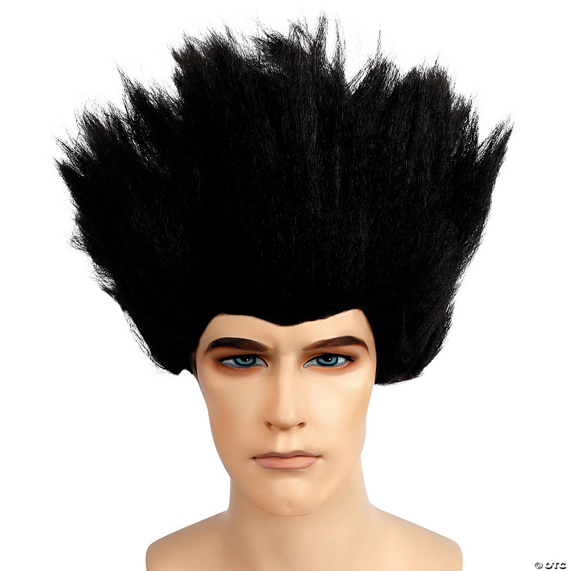 Adults Black Traditional Fright Wig Image