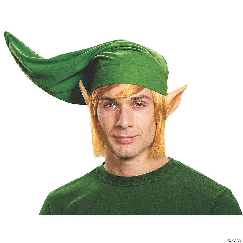 Adults Deluxe Link Costume Kit Image