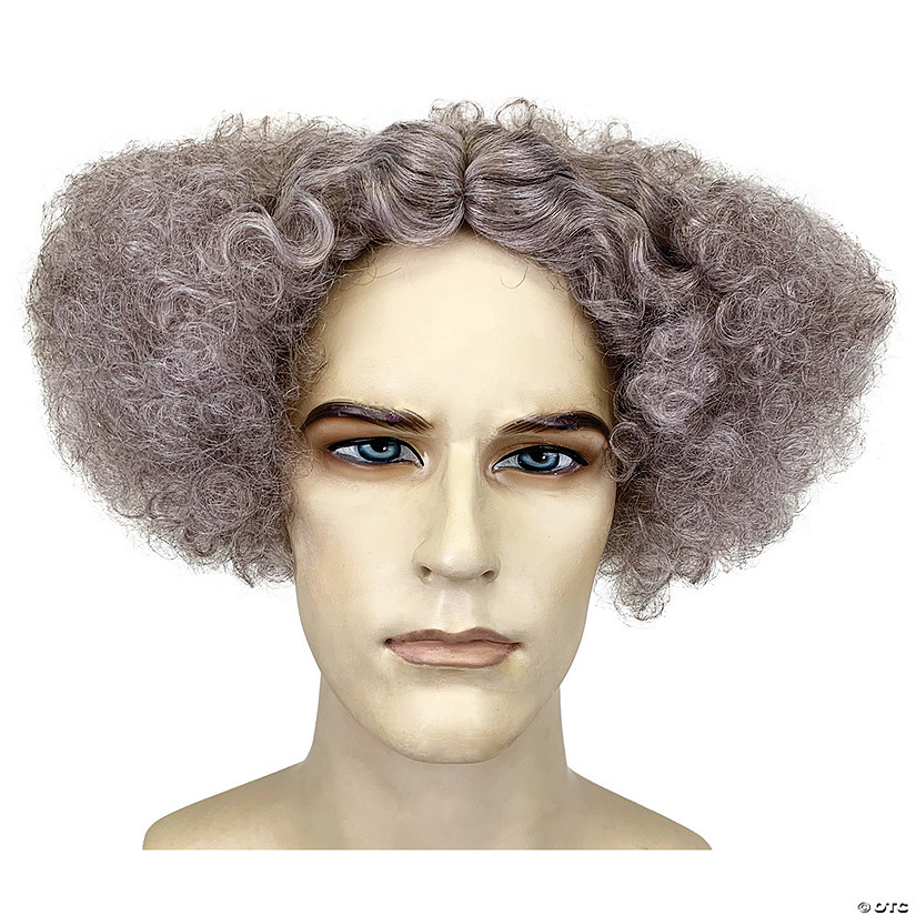 Adults Gray Mad Scientist Wig Image