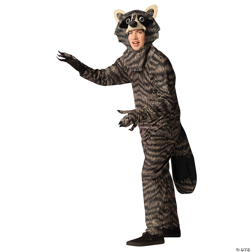 Adults Raccoon Costume Image