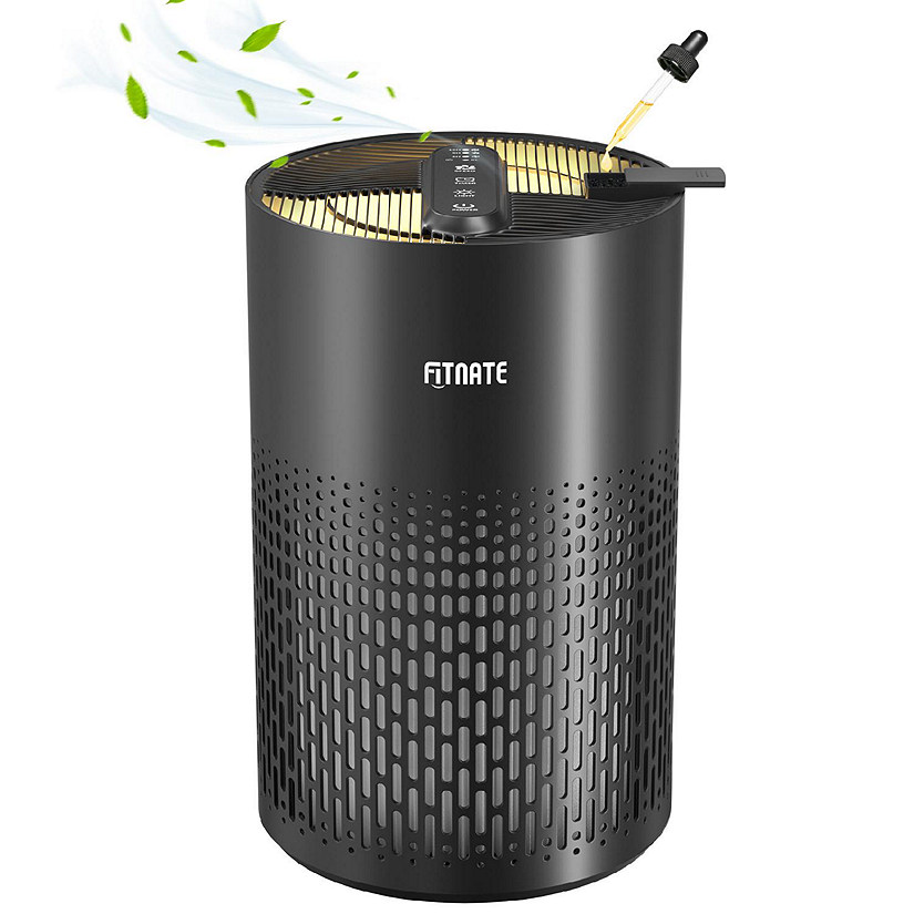 Air Purifier Black Image
