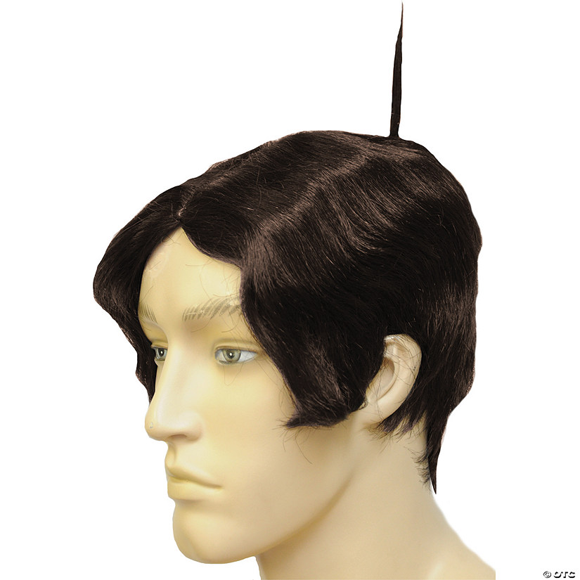 Alfalfa Wig Image