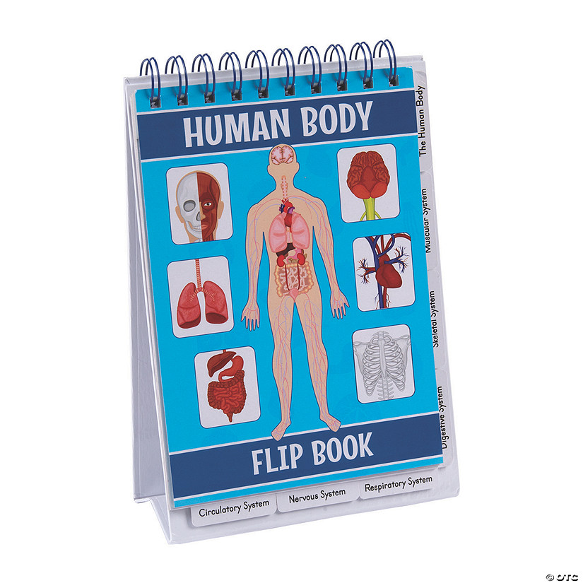 All About Our Bodies Flip Books - 6 Pc. Image