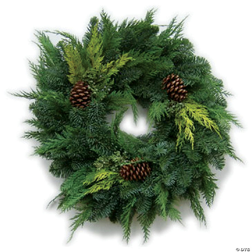 Alpine Farms 22" Fresh Rustic Cedar and Noble Fir Wreath, Set of 12 Image