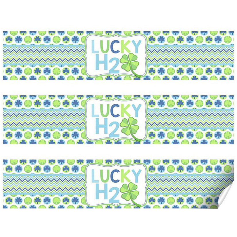 https://s7.orientaltrading.com/is/image/OrientalTrading/PDP_VIEWER_IMAGE/amandacreation-lucky-lad-waterbottle-labels-20-pcs-~14433526$NOWA$