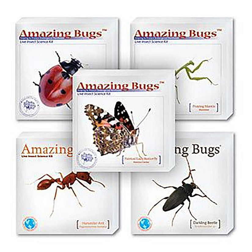 Amazing Bugs   Variety Set Image