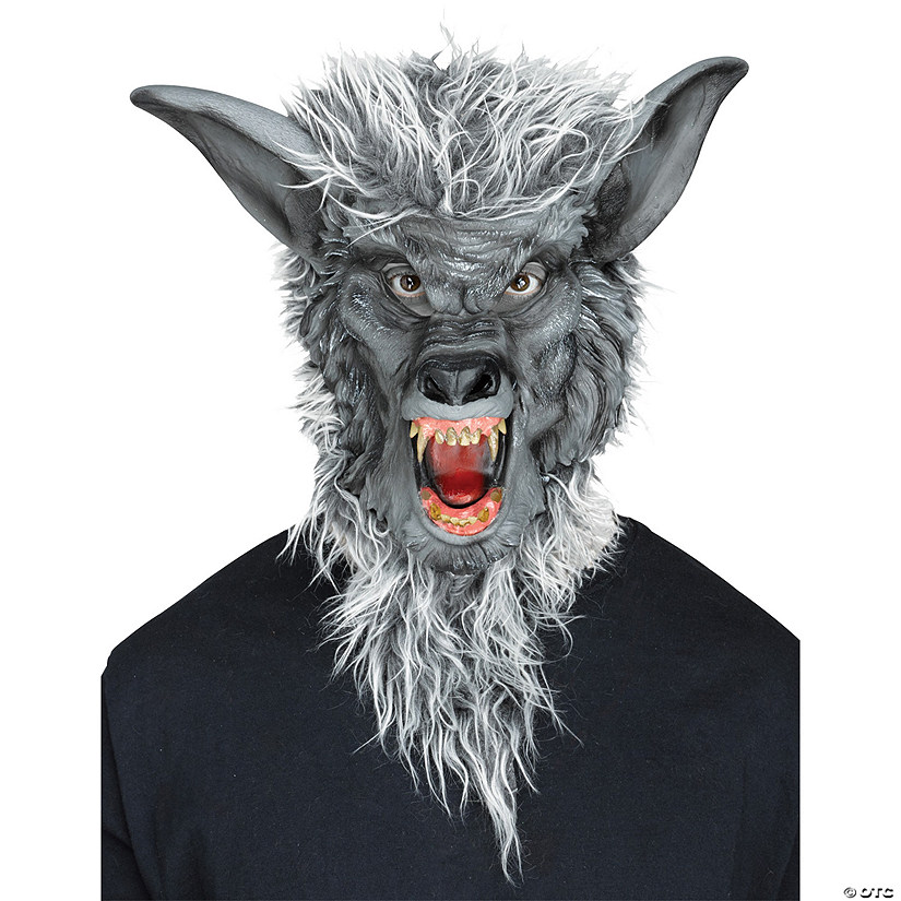 Animal Masks Image