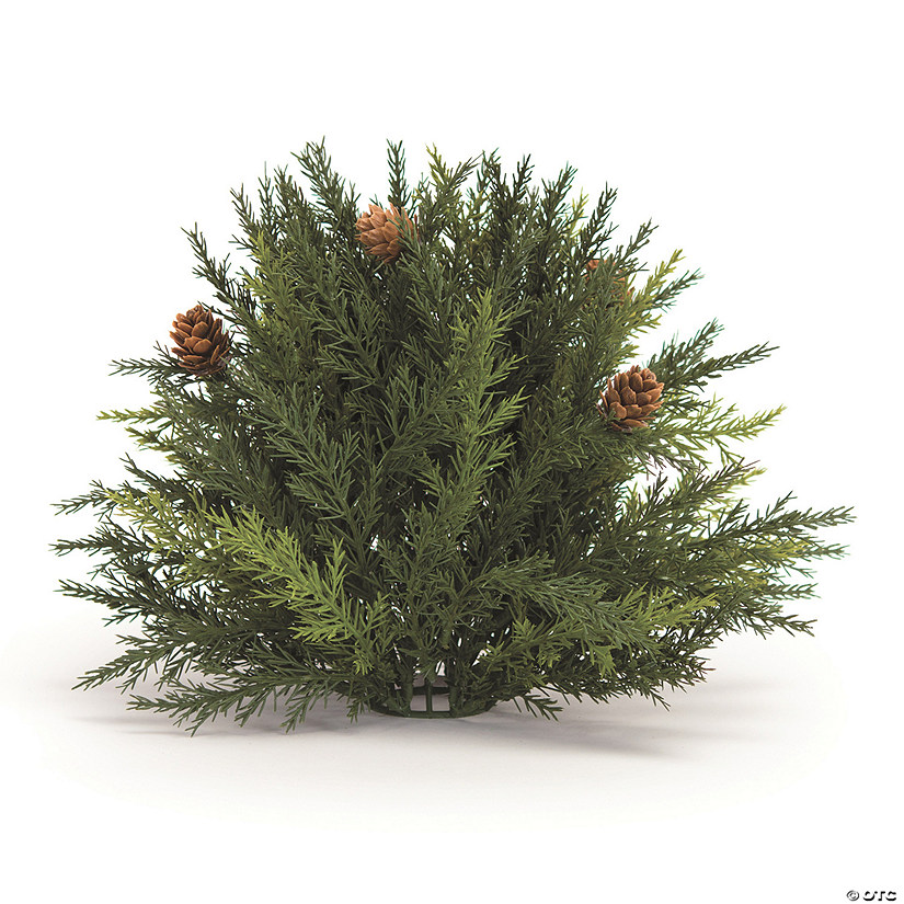 Arborvitae Half Orb 8.5"D Image