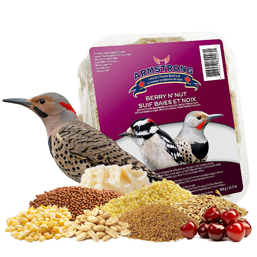 Armstrong Wild Bird Food Berry N Feet Nut Suet Blend, 11.3oz Image