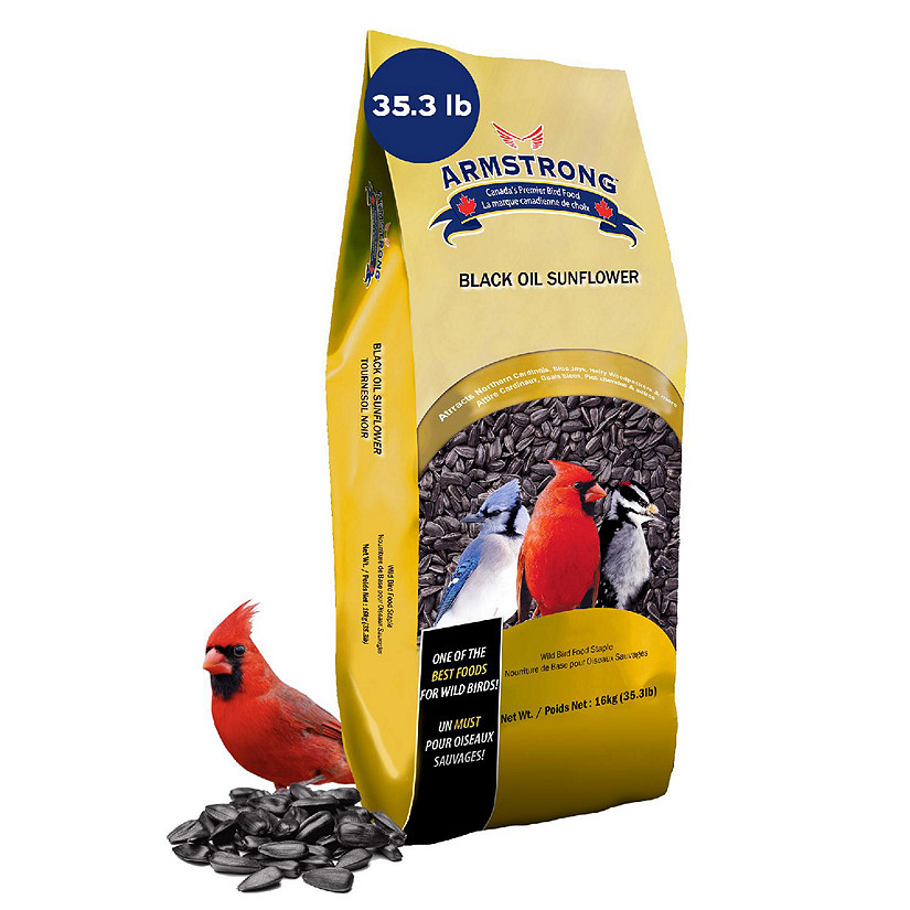 Armstrong Wild Bird Food Black Oil Sunflower Bird Seed Blend, 35lbs Image