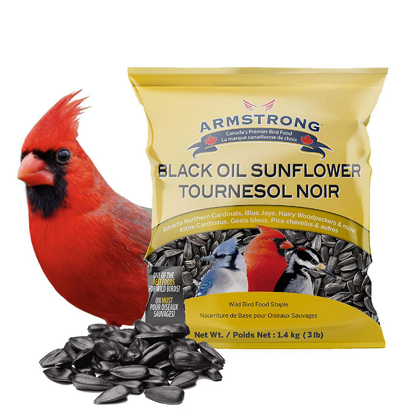 Armstrong Wild Bird Food Black Oil Sunflower Bird Seed Blend, 3lbs Image