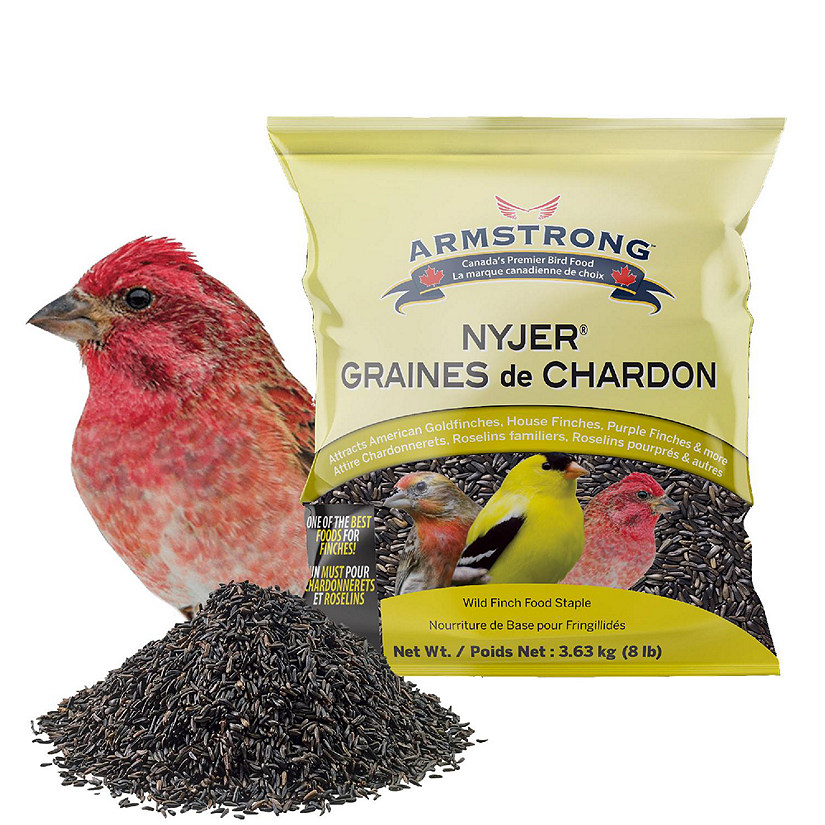 Armstrong Wild Bird Food Nyjer Bird Seed Blend for Finches, 8lbs Image