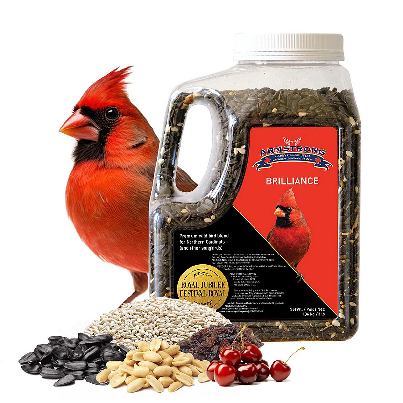 Armstrong Wild Bird Food Royal Jubilee Brilliance Bird Seed Blend For Northern Cardinals, 3lb Jug Image