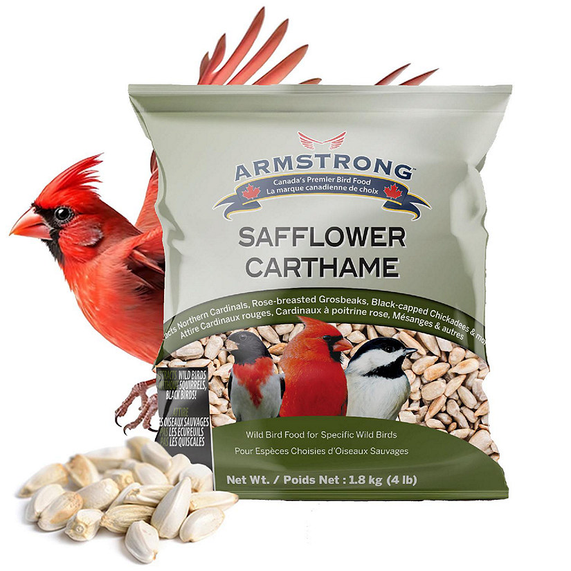 Armstrong Wild Bird Food Safflower Bird Seed Blend, 4lbs Image
