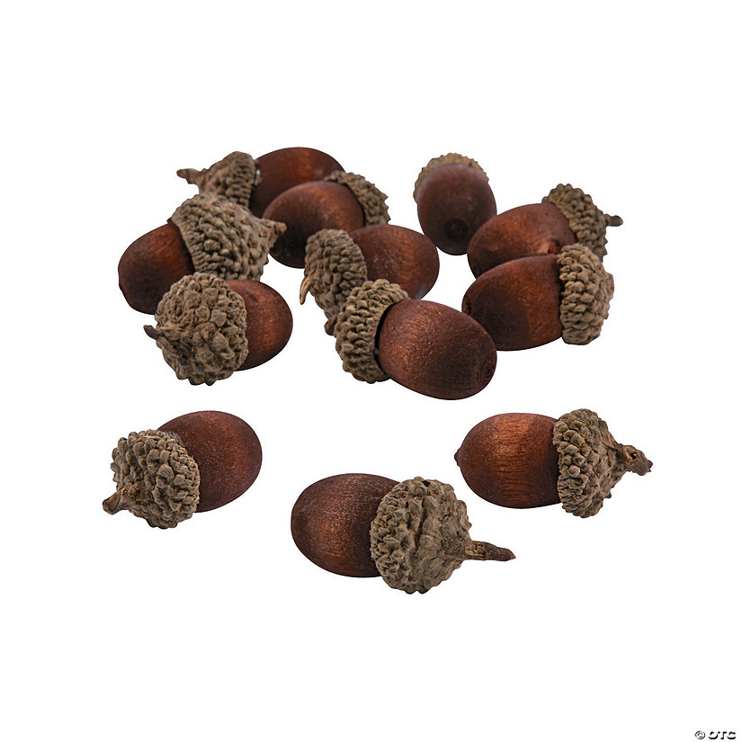 Artificial Acorns - 24 Pc. Image
