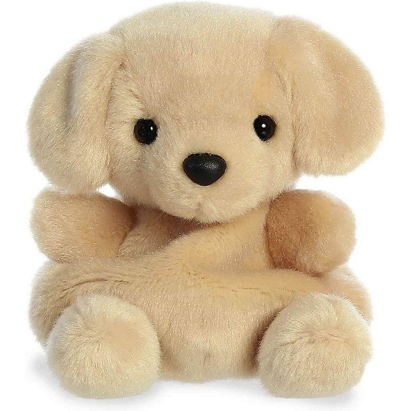 Aurora Sunny Lab Palm Pal Image
