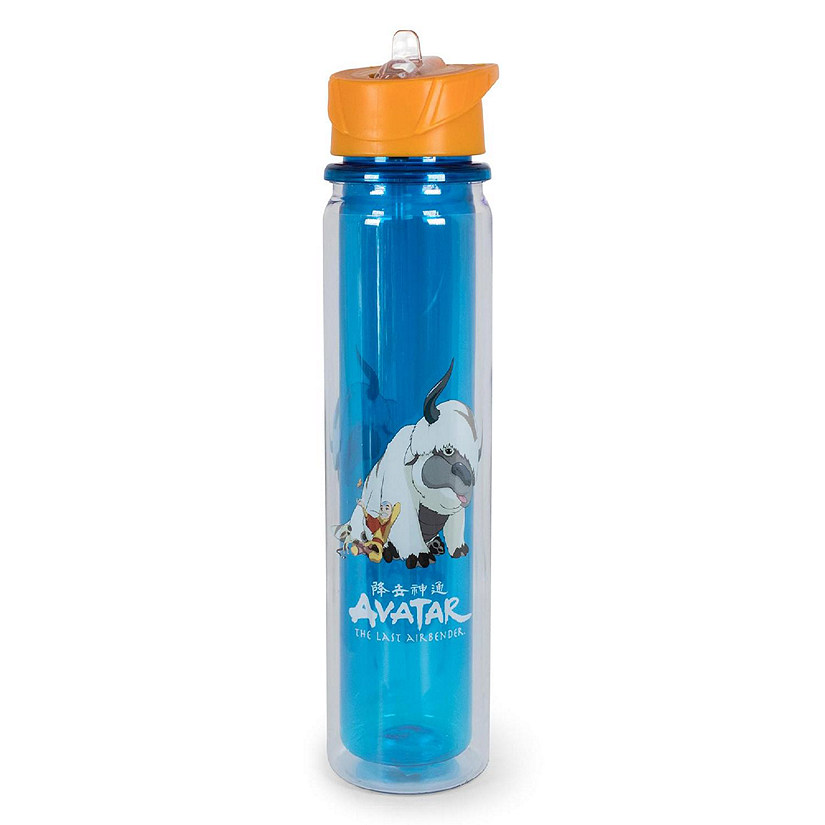 Avatar: The Last Airbender Aang and Appa Water Bottle  Holds 16 Ounces Image