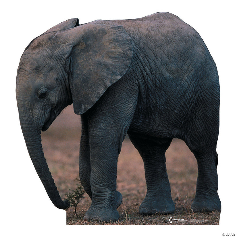 Baby Elephant Talking Cardboard Stand-Up Image