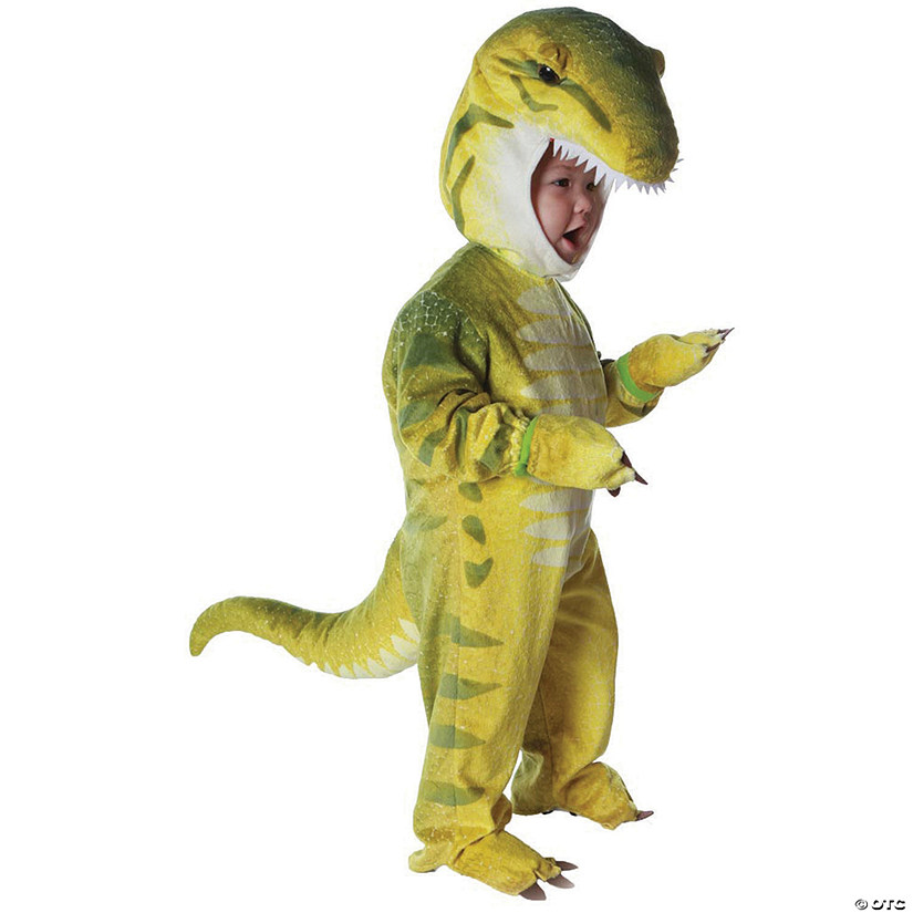 Baby Green TRex Dinosaur Costume Image