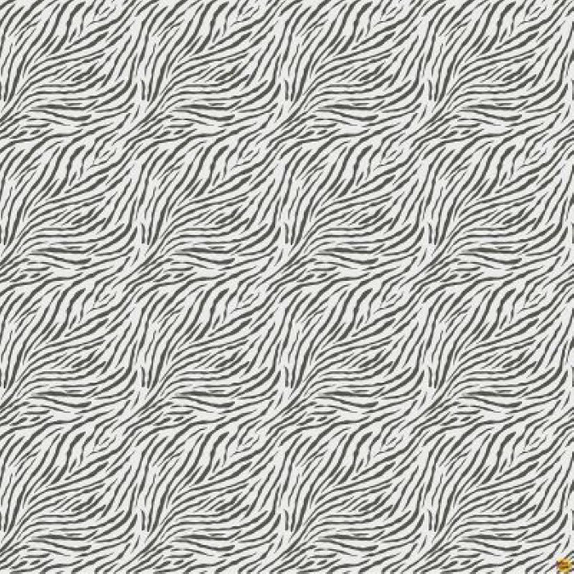 Baby Safari Zebra Stripes Childrens Cotton Fabric by Northcott