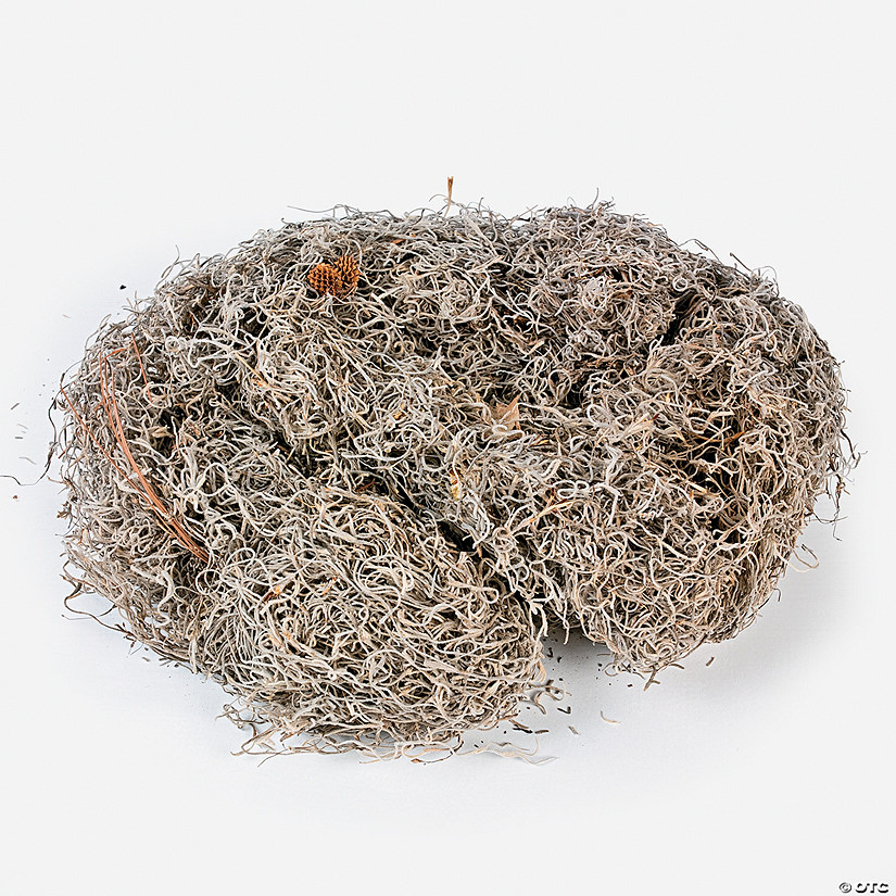 Bag of Spanish Moss Discontinued
