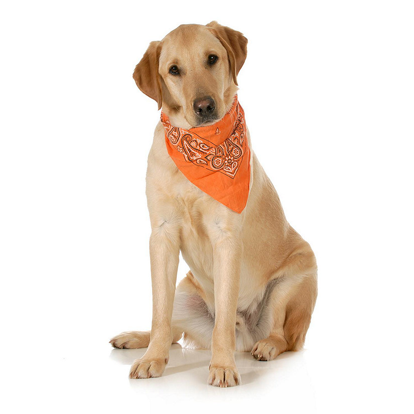 Balec 5-Pack Paisley Cotton Dog Scarf Triangle Bibs  - XL & Washable (Orange) Image