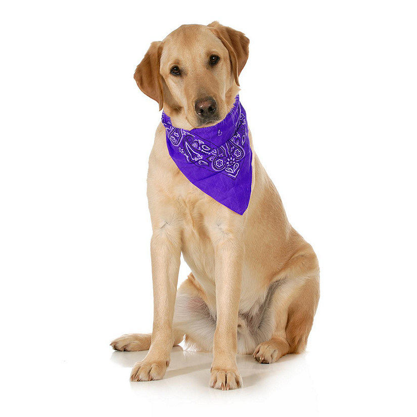 Balec 5-Pack Paisley Cotton Dog Scarf Triangle Bibs  - XL & Washable (Purple) Image