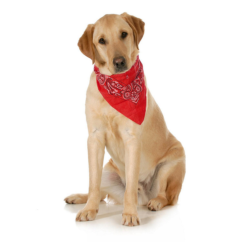 Balec 5-Pack Paisley Cotton Dog Scarf Triangle Bibs  - XL & Washable (Red) Image