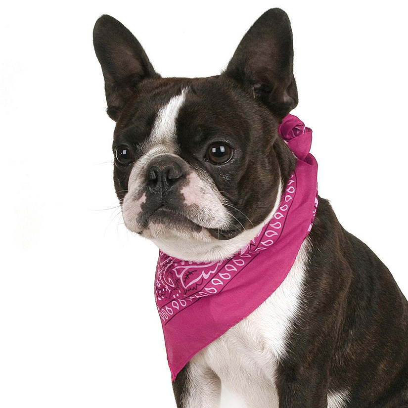 Balec Pack of 2 Paisley Cotton Dog Bandana Triangle Shape  - One Size Fits Most (Hot Pink) Image