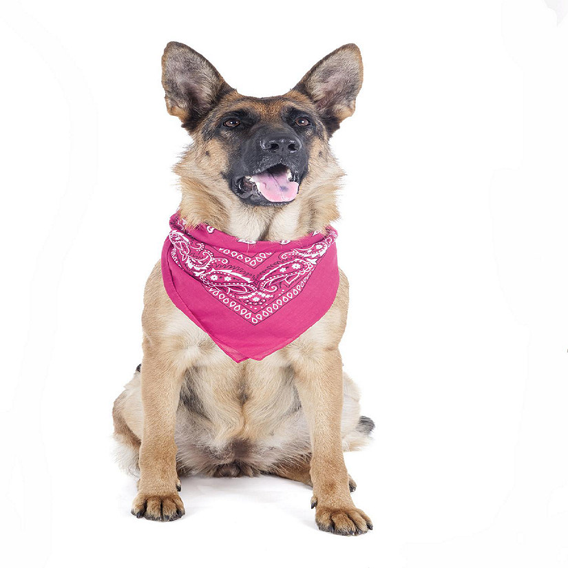 Balec Paisley Polyester Pets 6 Pack Dogs Bandana Triangle Shape  - Oversized (Hot Pink) Image