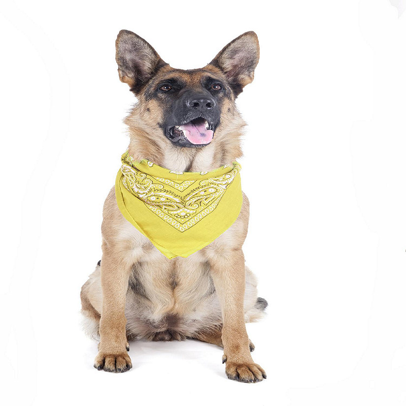 Balec Paisley Polyester Pets 6 Pack Dogs Bandana Triangle Shape  - Oversized (Yellow) Image