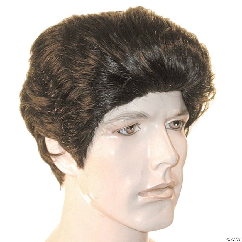 Bargain 50's Rocker Wig Image