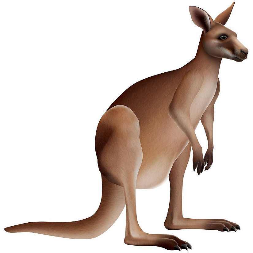 Beistle - 31&amp;#189;" x 30&amp;#190;" Jointed Kangaroo - 12 Pack Image