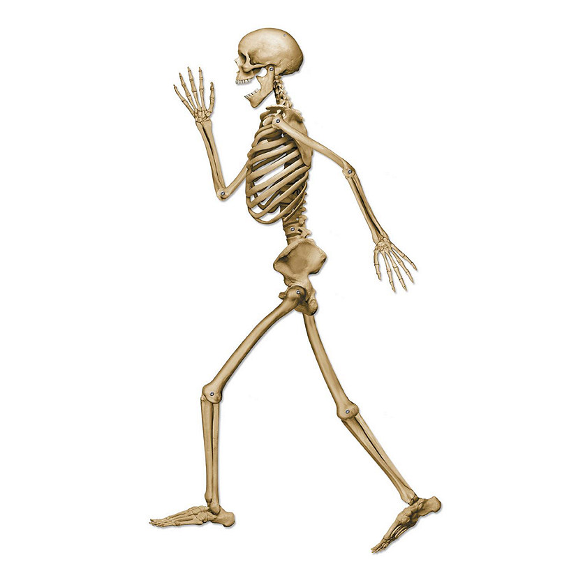 Beistle - Profile Pete Jointed Skeleton - 12 Pack Image