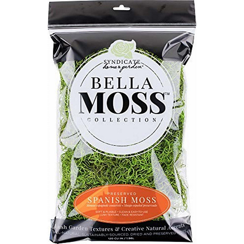Bella Moss 141112070 Preserved Spanish Moss, Green