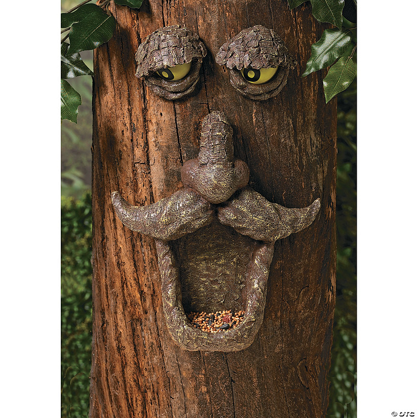 Bird Feeder Tree Face Image