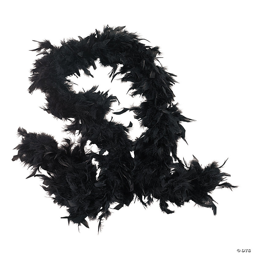 Black Feather Boa Image