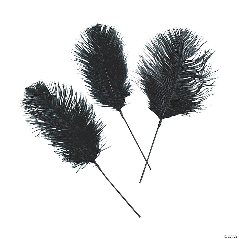Black Ostrich Feathers - 24 Pc. Image